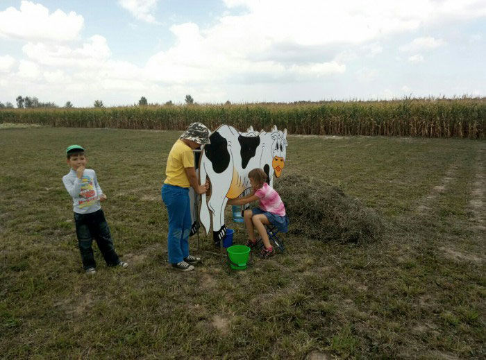 Корова дійна