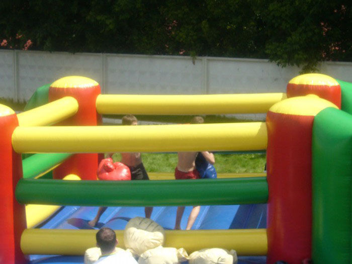 Бокс гіганський