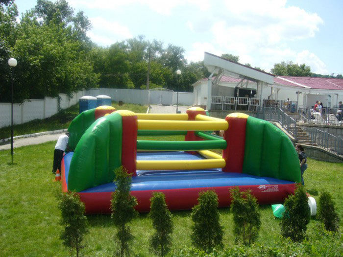 Бокс гіганський